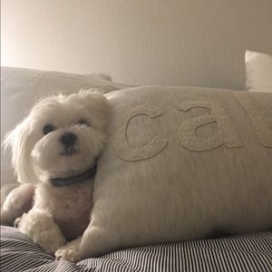 Meet your Posher, Marian