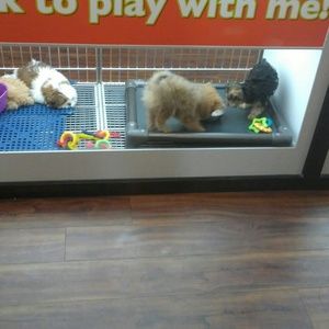 Meet your Posher, Deona