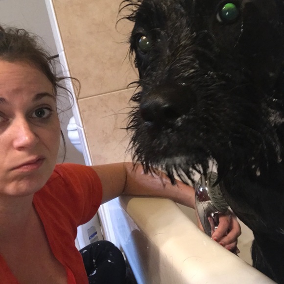 Meet your Posher, Danielle - Picture 6 of 8