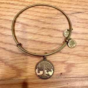 Alex and Ani Tree of Life Bangle