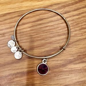 Alex and Ani February Birthstone Bangle