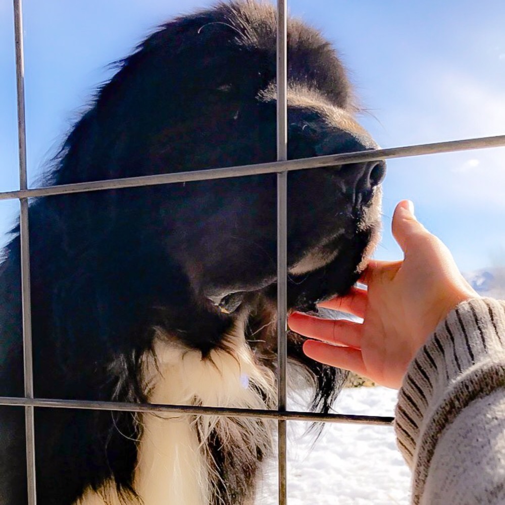 Meet your Posher, Maddi