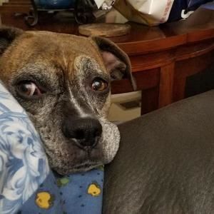 Meet your Posher, Celia