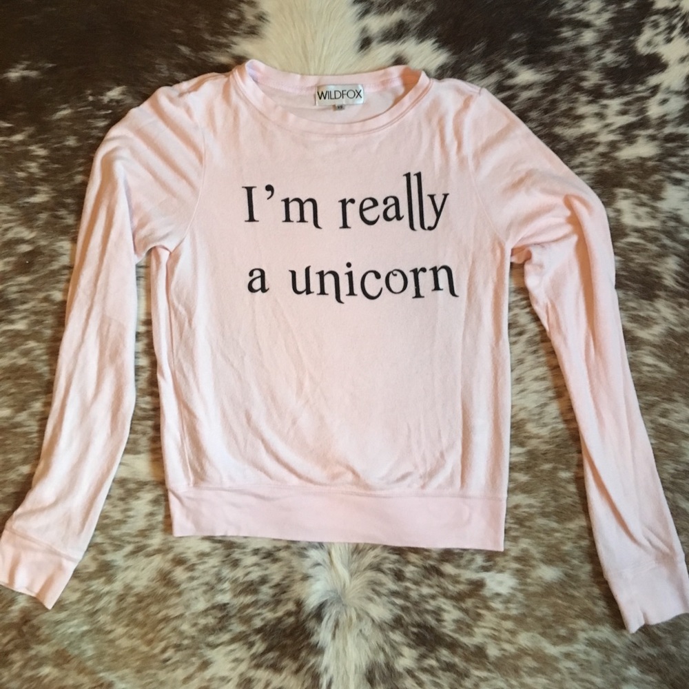 Wildfox sweater