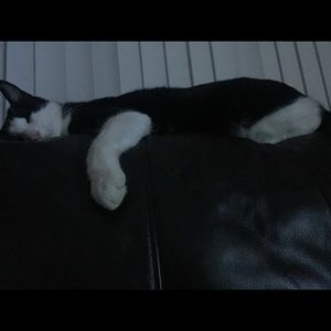 Meet your Posher, Drew