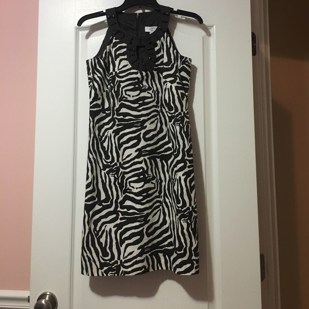 Ann Taylor Loft Brown & White Zebra Stipe Dress