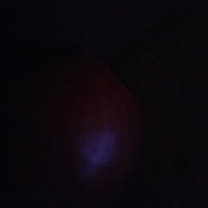 Meet your Posher, Sasha