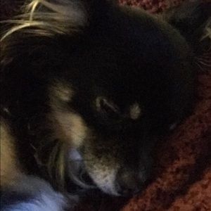 Meet your Posher, Katelyn