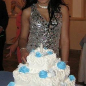 Silver Sequin Jeweled Gown