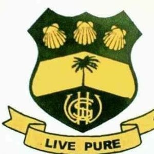 Meet your Posher, Joy