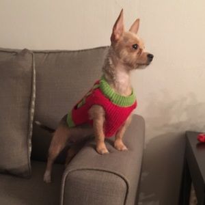 Meet your Posher, Laura