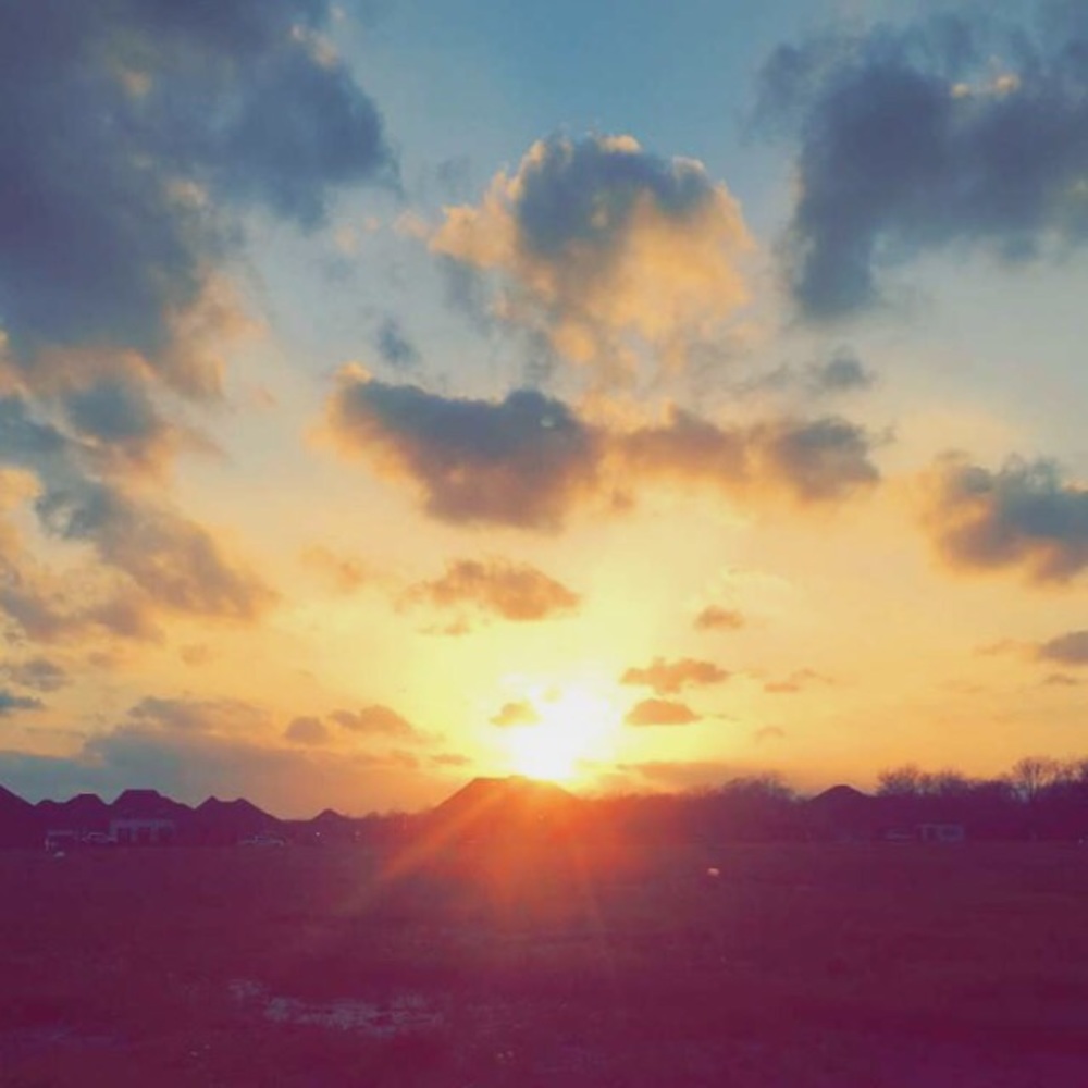 Meet your Posher, Alana