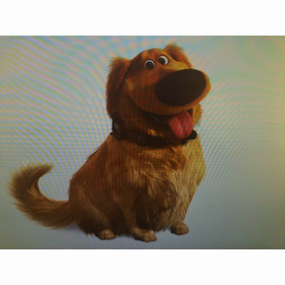 Meet your Posher, Zeus