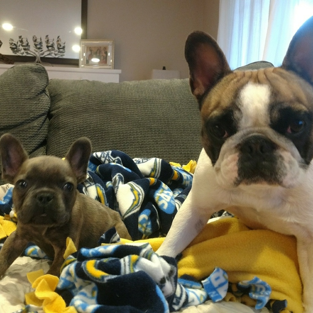 Meet your Posher, Laura