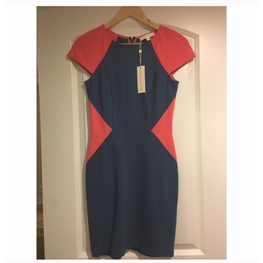 Erin Fethertson Dress