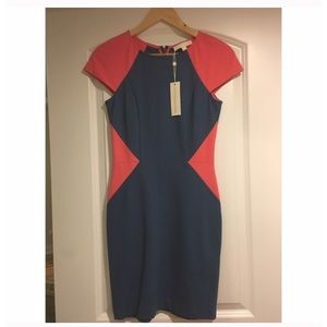 Erin Fethertson Dress