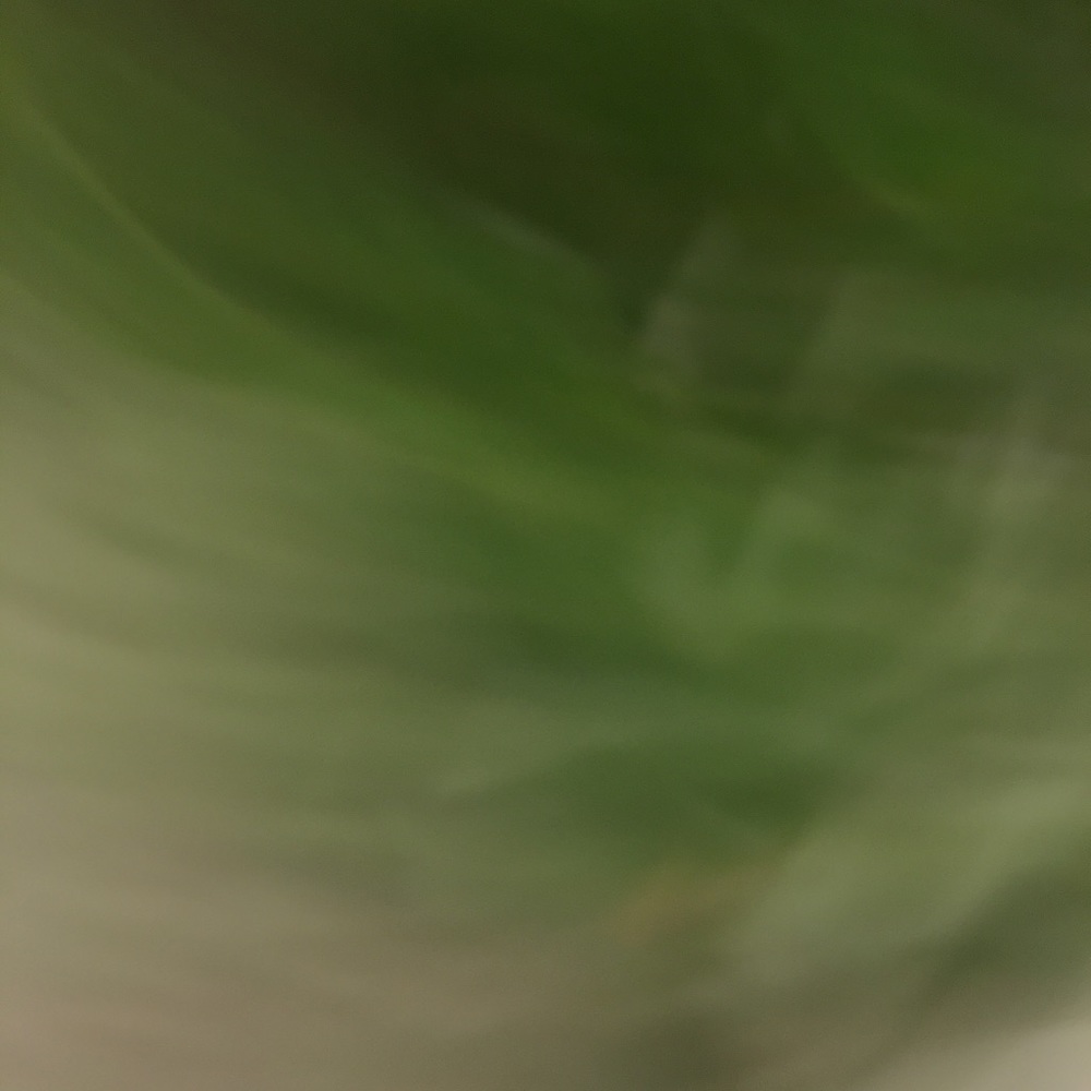 Meet your Posher, Jacinta