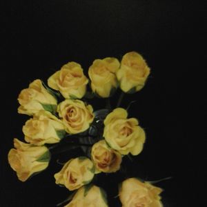 Meet your Posher, Stacey