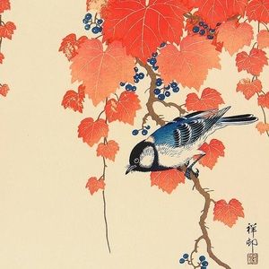 Meet your Posher, Mira