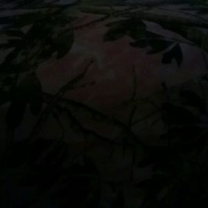 Meet your Posher, Sonya