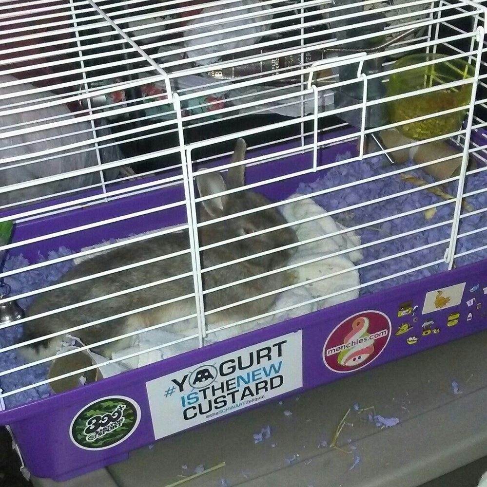 Meet your Posher, Emily