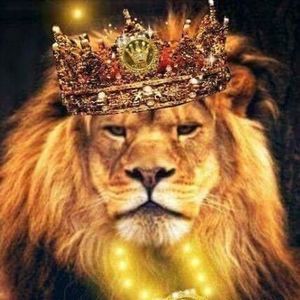 Meet your Posher, Dwayne