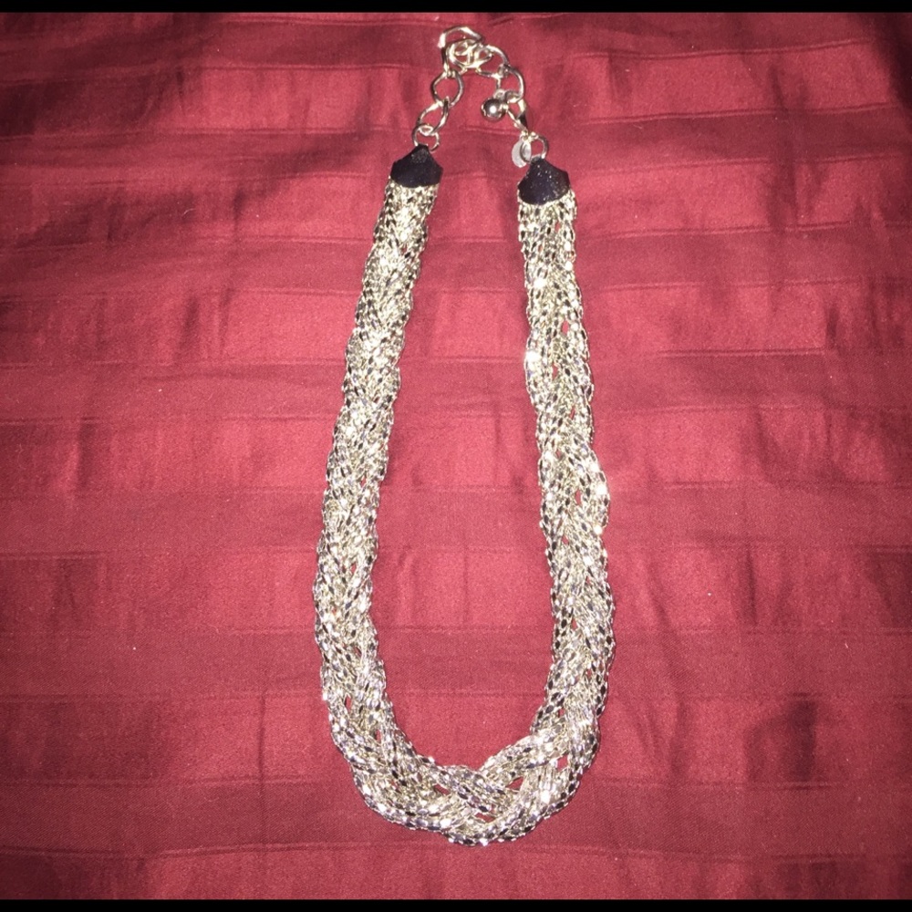 Express Silver Braided Chain Necklace
