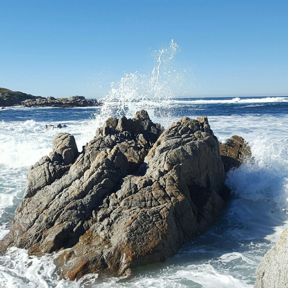 Meet your Posher, Jeannine