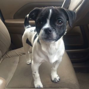 Meet your Posher, Roe