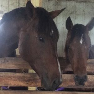 Meet your Posher, Gabrielle