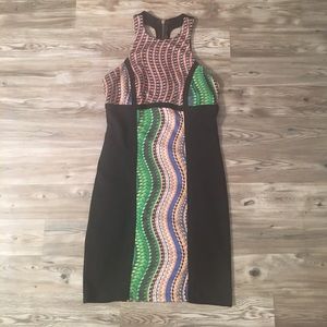 Print Block Bodycon Dress