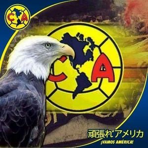 Meet your Posher, Miguel