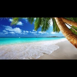 Meet your Posher, Renee