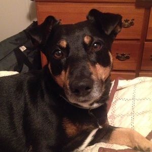 Meet your Posher, Linda