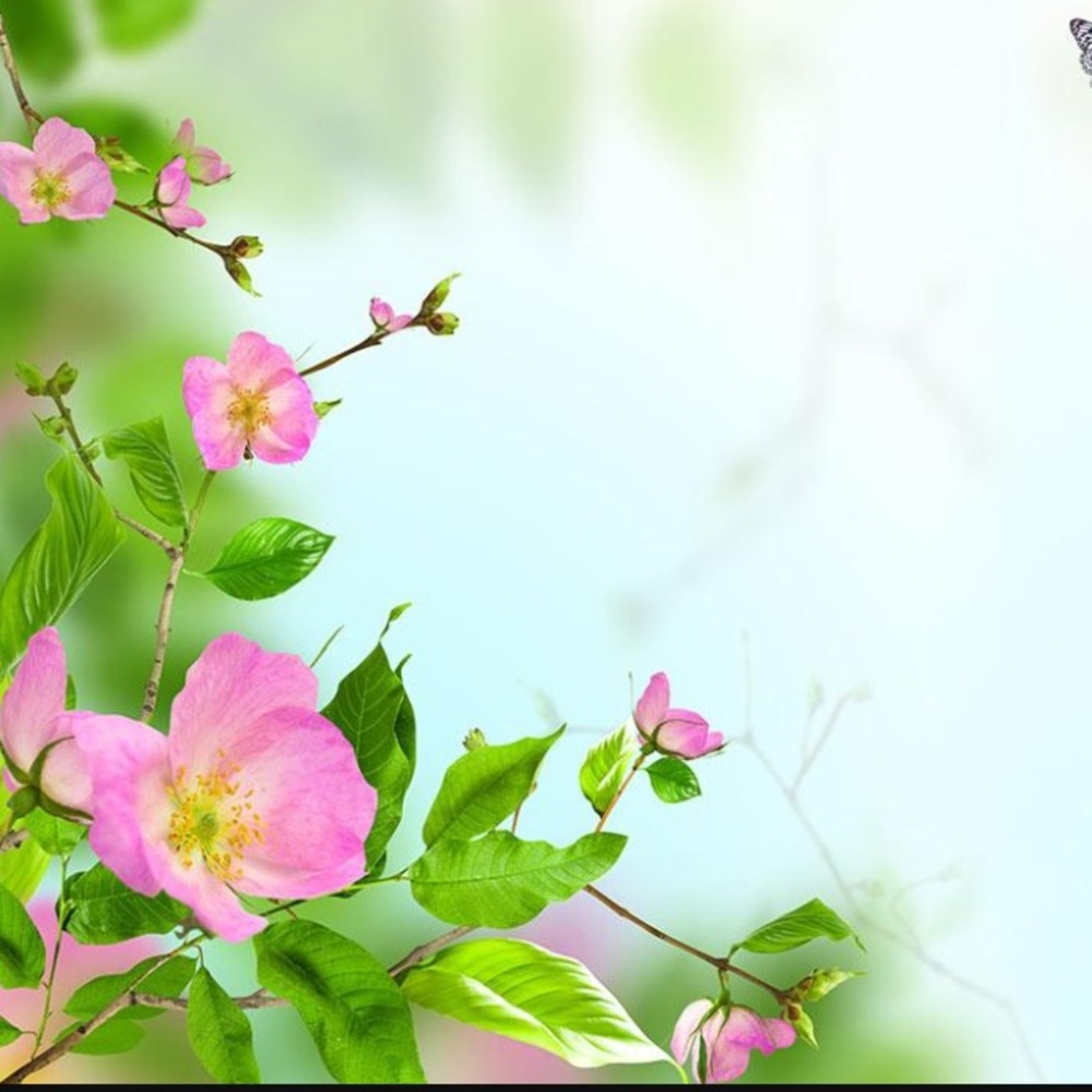 Meet your Posher, Sounchayna