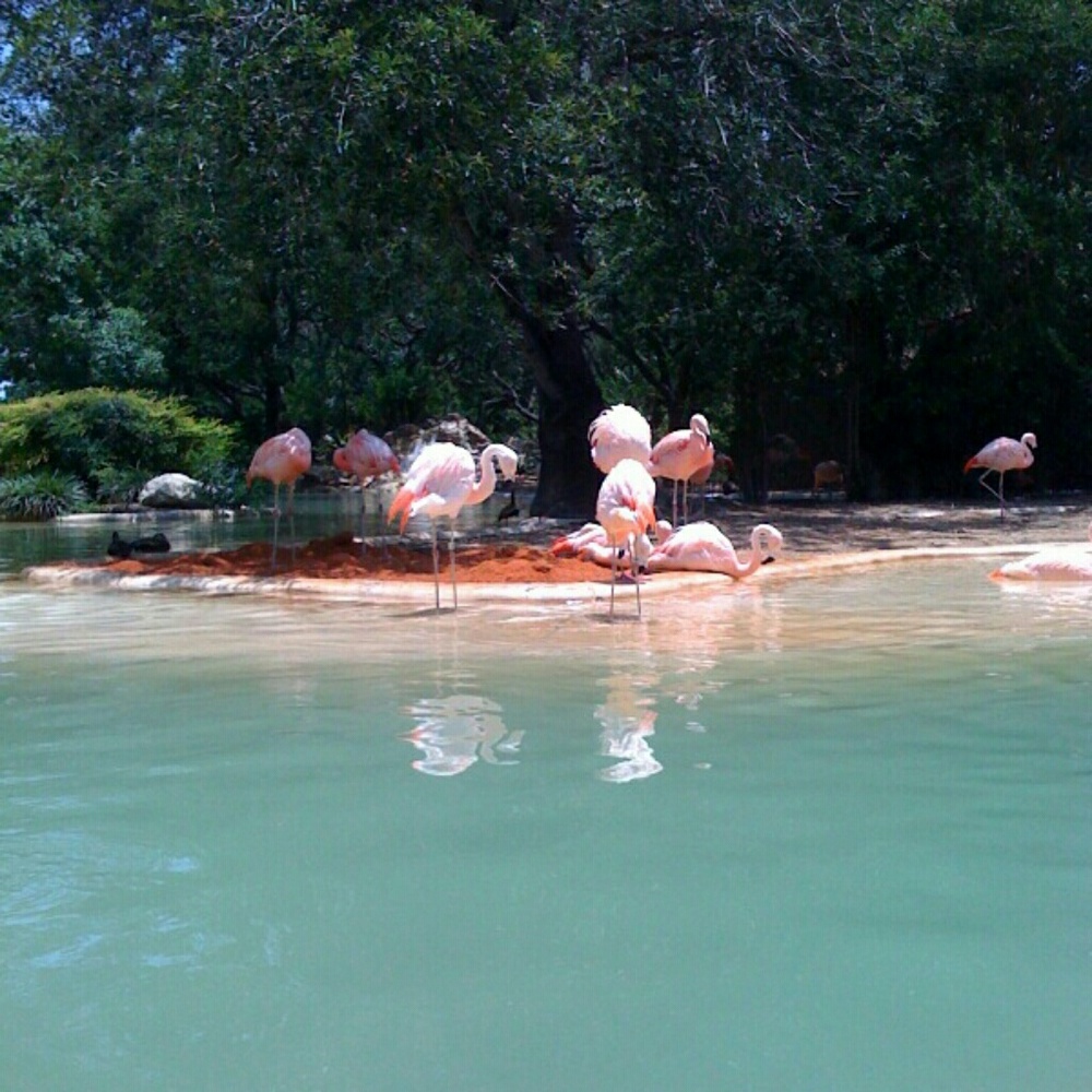 Meet your Posher, Lorilyn