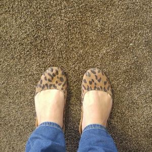 Meet your Posher, Shelby