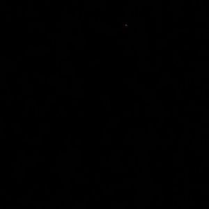 Meet your Posher, Katelynn