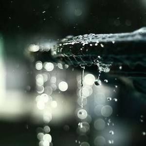 Meet your Posher, Mia