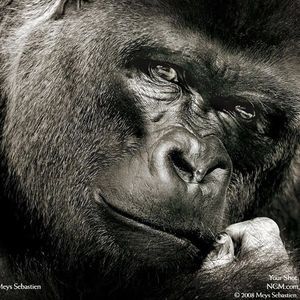 Meet your Posher, Don