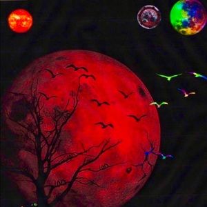 Meet your Posher, Jayden