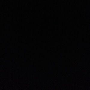 Meet your Posher, Mickey