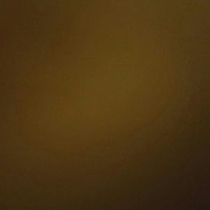 Meet your Posher, Shauna