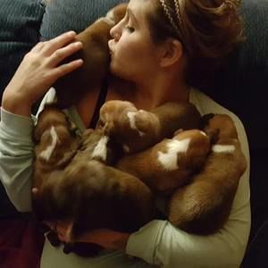 Meet your Posher, Miranda