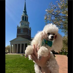 Meet your Posher, Johnna