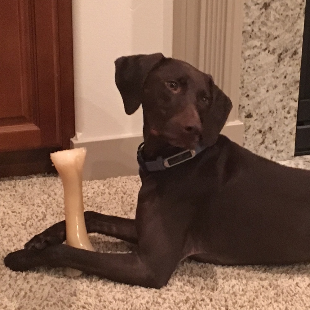 Meet your Posher, Amy