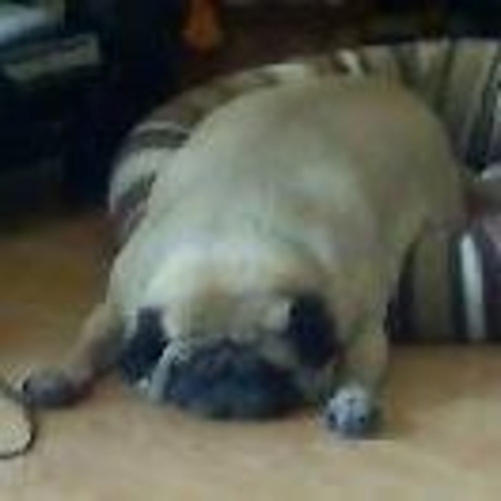 Meet your Posher, Kandy