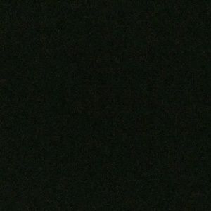 Meet your Posher, Eva