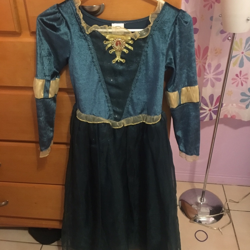 Brave Merida Disney Dress / costume