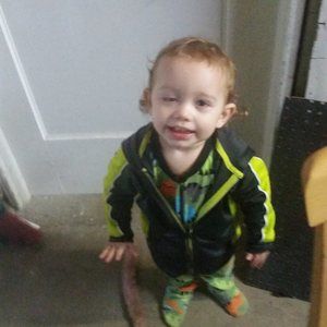 Meet your Posher, Lori